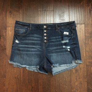 Charlotte Russe distressed shorts